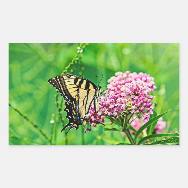 Osttiger-Frack-Schmetterling Rechteckiger Aufkleber (Vorderseite)