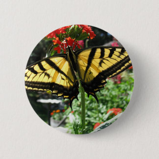 Osttiger-Frack-Schmetterlings-Button Button