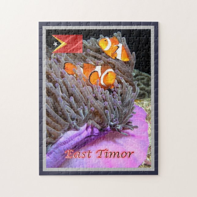 Osttimor - Anemonefisch - (Vertikal)
