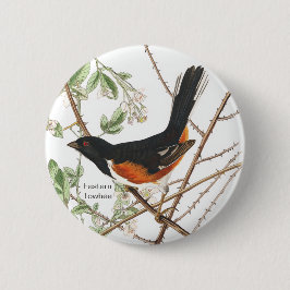 Osttowhere, Audubon, Rot-mit Augen Birdwatcher-Bir Button