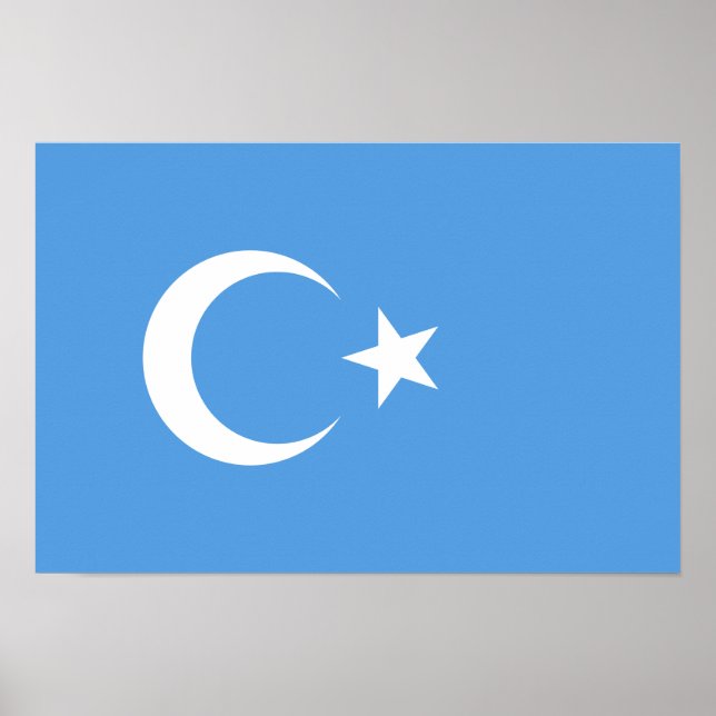 Ostturkestan Uyghur Flag Poster (Vorne)