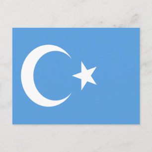 Ostturkestan Uyghur Flag Postkarte