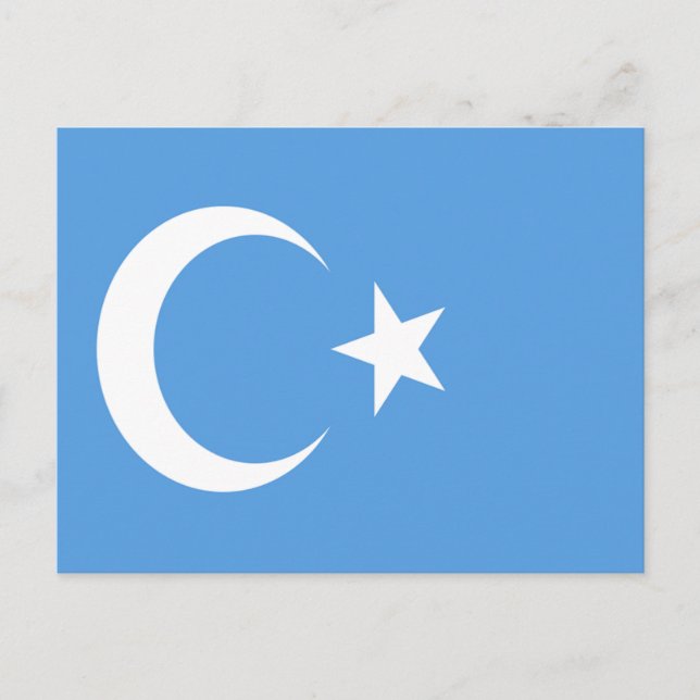 Ostturkestan Uyghur Flag Postkarte (Vorderseite)