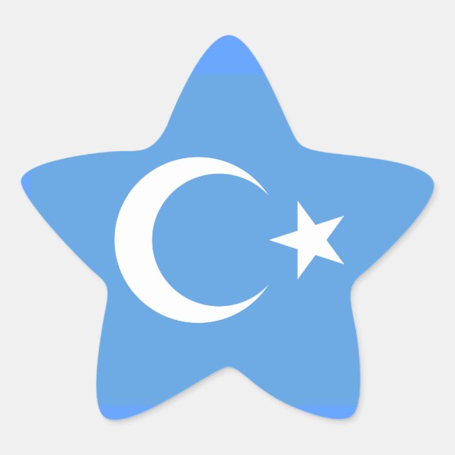 Ostturkestan Uyghur Flag Stern-Aufkleber (Vorderseite)