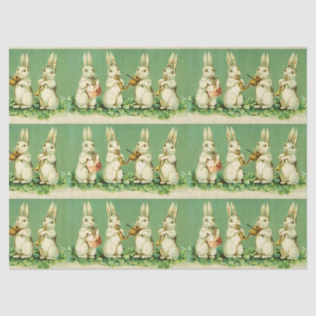 OSTWEISS RABBIT ORCHESTRA Musik Kaninchen machen Seidenpapier (Vorderseite)