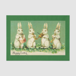 OSTWEISS RABBIT ORCHESTRA Musik Kaninchen machen Seidenpapier