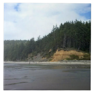 Oswald West State Park, Oregon Coast Fliese
