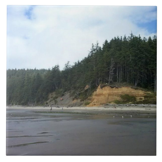 Oswald West State Park, Oregon Coast Fliese (Vorderseite)