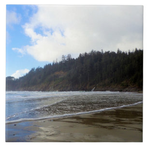 Oswald West State Park Oregon Coast Fliese