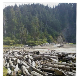 Oswald West State Park Oregon Coast Fliese