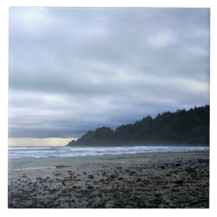 Oswald West State Park Oregon Coast Fliese