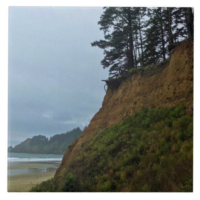 Oswald West State Park Oregon Coast Fliese (Vorderseite)