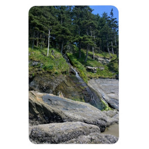 Oswald West State Park Oregon Coast Magnet