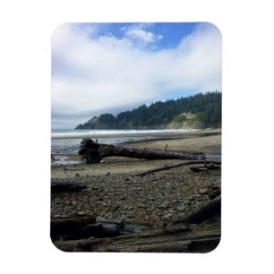 Oswald West State Park Oregon Coast Magnet