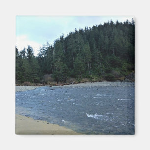 Oswald West State Park Oregon Coast Magnet