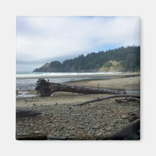 Oswald West State Park Oregon Coast Magnet