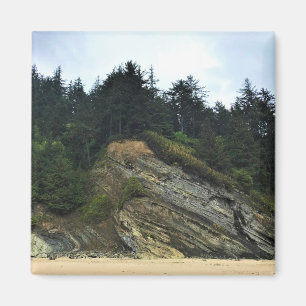 Oswald West State Park Oregon Coast Magnet
