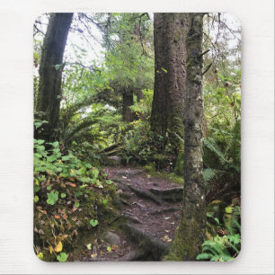 Oswald West State Park Oregon Coast Mousepad
