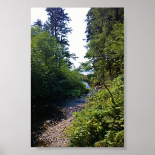 Oswald West State Park Oregon Coast Poster