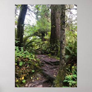 Oswald West State Park Oregon Coast Poster