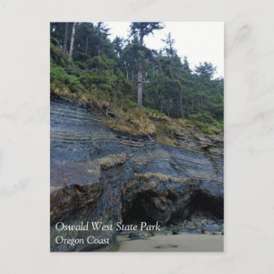 Oswald West State Park Oregon Coast Postkarte
