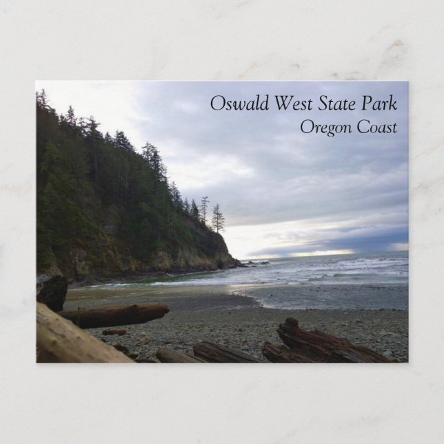 Oswald West State Park Oregon Coast Postkarte (Vorderseite)