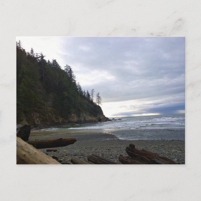 Oswald West State Park Oregon Coast Postkarte (Vorderseite)