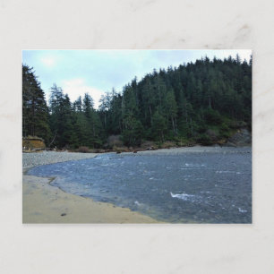 Oswald West State Park Oregon Coast Postkarte
