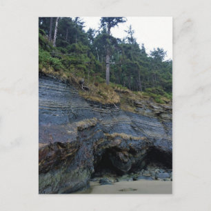 Oswald West State Park Oregon Coast Postkarte