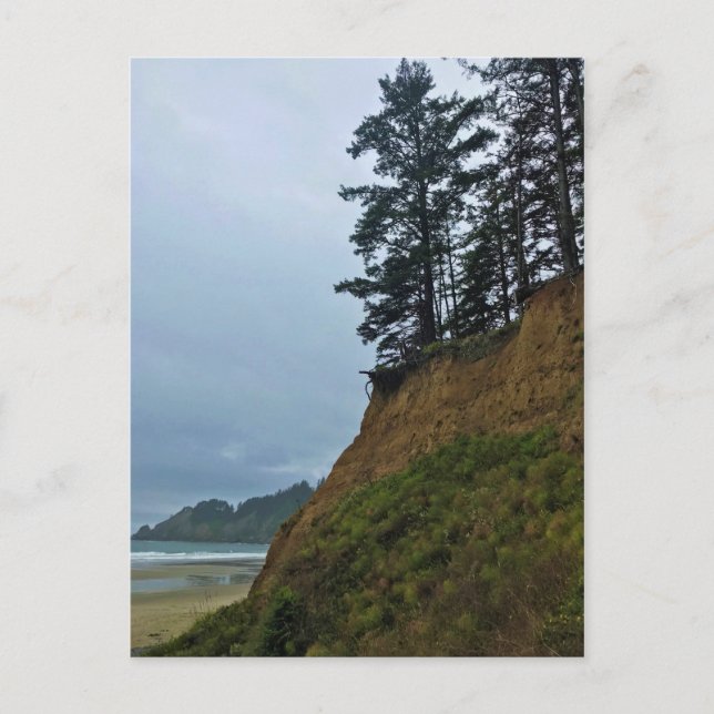 Oswald West State Park Oregon Coast Postkarte (Vorderseite)