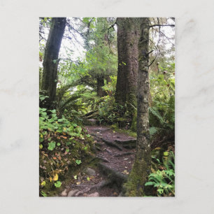 Oswald West State Park Oregon Coast Postkarte