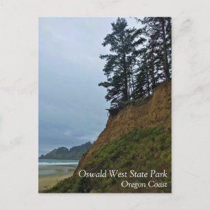 Oswald West State Park Oregon Coast Postkarte
