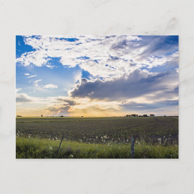 Other Sunset Postkarte (Vorderseite)