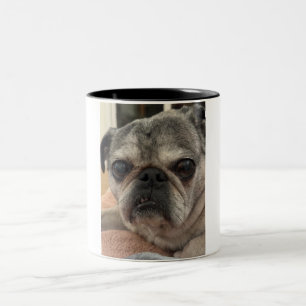 Otist den Mops auf einer Tasse