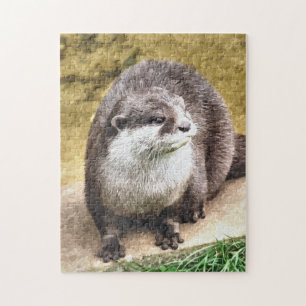OTTER