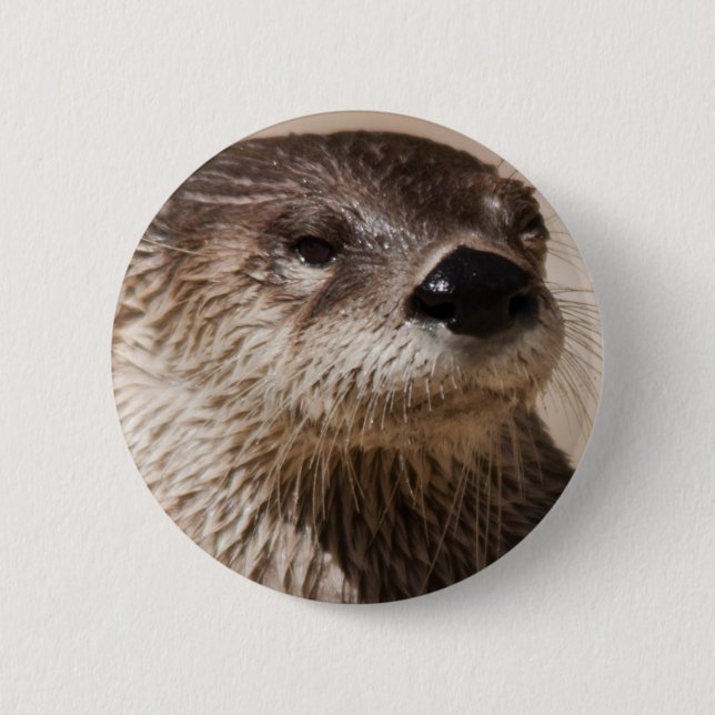 OTTER BUTTON (Vorderseite)
