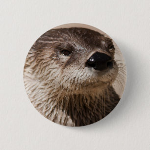 OTTER BUTTON