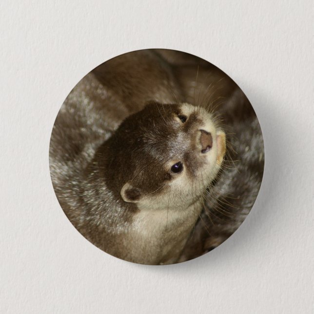Otter Button (Vorderseite)