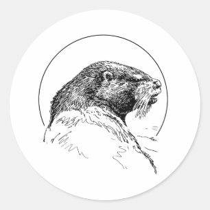 OTTER-ETIKETT RUNDER AUFKLEBER