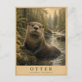 Otter Forest Rivers VINTAGE Postkarte