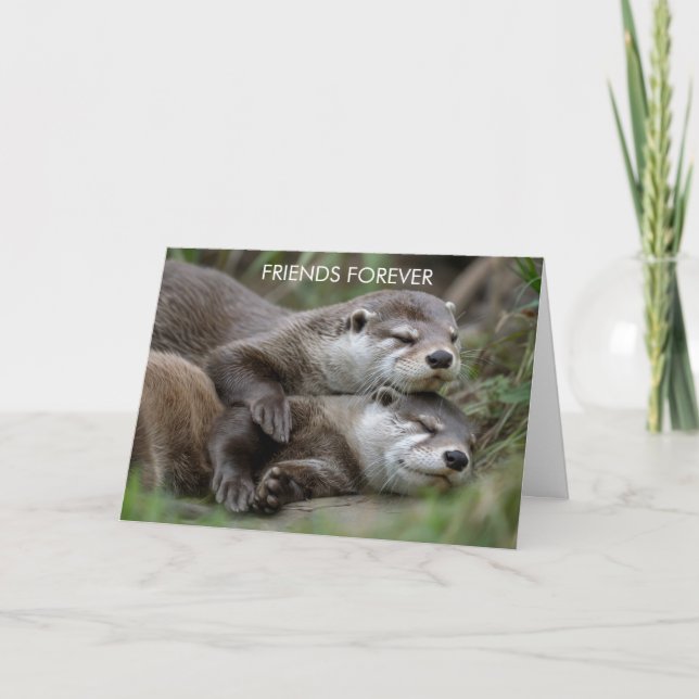 Otter Freunde für immer Freundschaft Karte (Vorderseite)