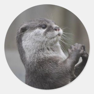 Otter-Genie-Aufkleber Runder Aufkleber