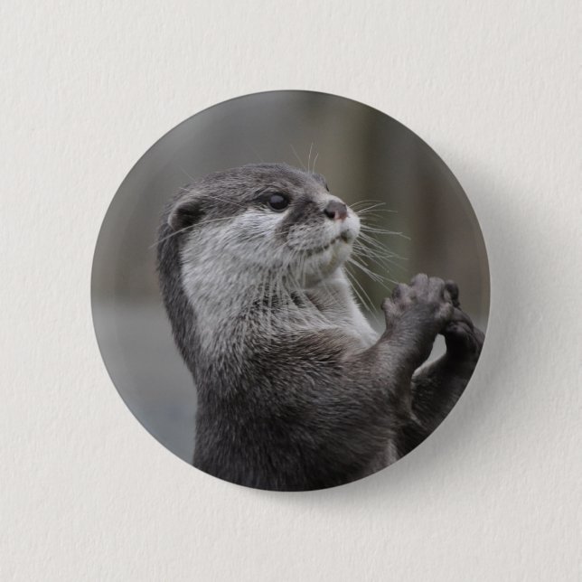 Otter-Genie-Knopf Button (Vorderseite)