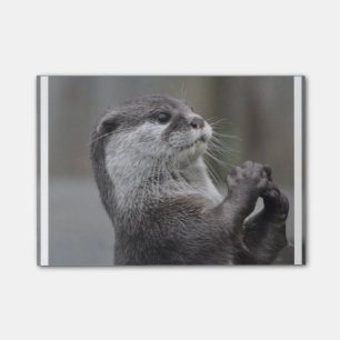 Otter-Genie Post-it Klebezettel