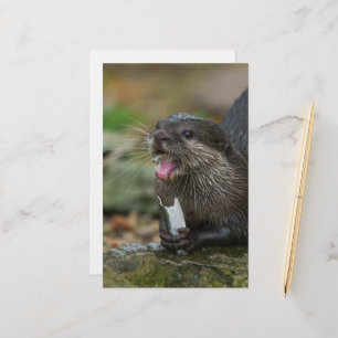 Otter hat seinen Fisch Got Briefpapier