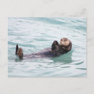 Otter in Alaska Postkarte