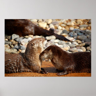 Otter-Liebe Poster