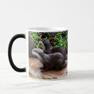 Otter, Magic Morph Mug