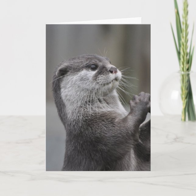 Otter Mastermind Grußkarte Karte (Vorderseite)