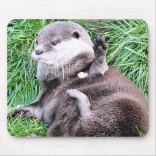OTTER MOUSEPAD